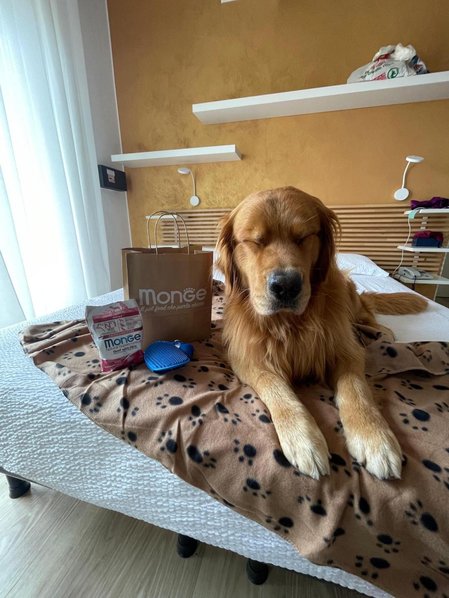 Venezuela Hotel Lido di Jesolo